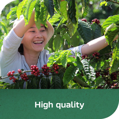 NESCAFÉ CLÁSICO Decaf Dark Roast Coffee, Instant Coffee, 7 oz, 1 Jar