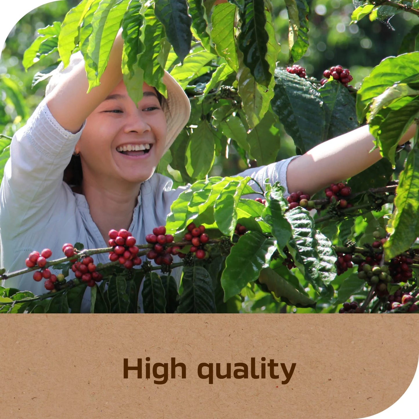 NESCAFÉ Taster's Choice House Blend, Light Medium Roast Instant Coffee, 7 oz, 1 Jar